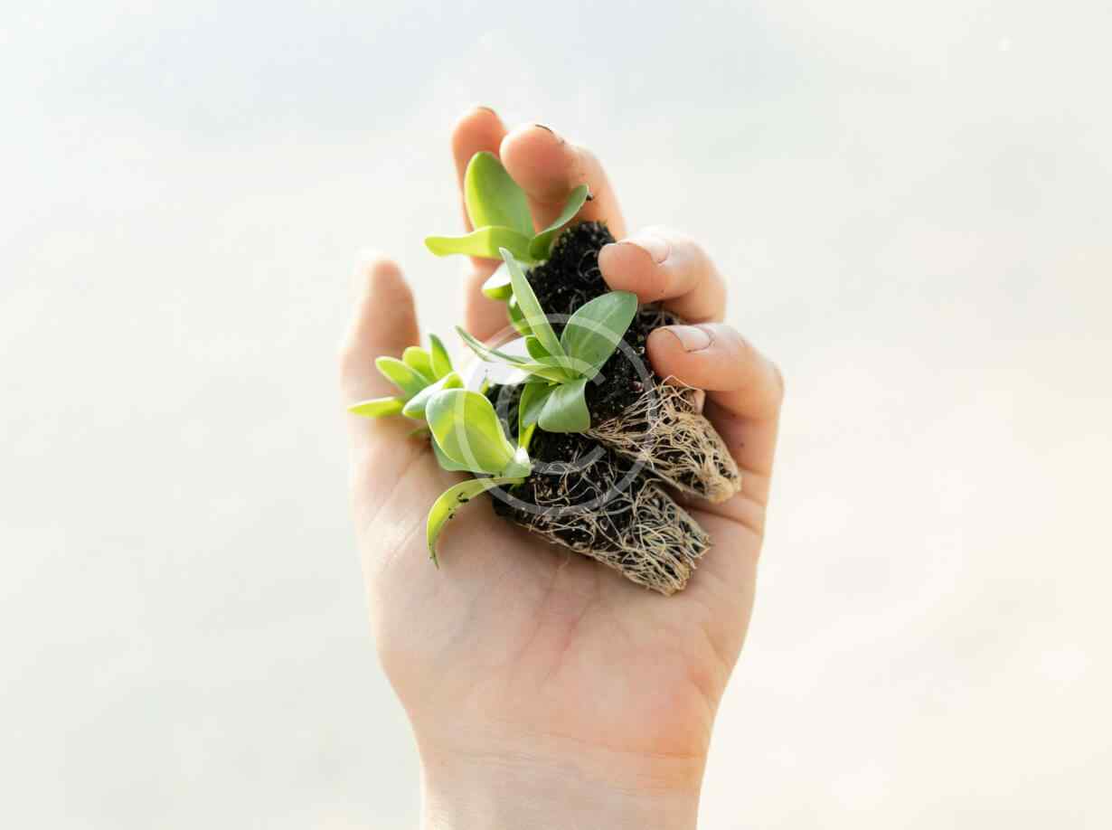 Protecting natural habitats for future generations