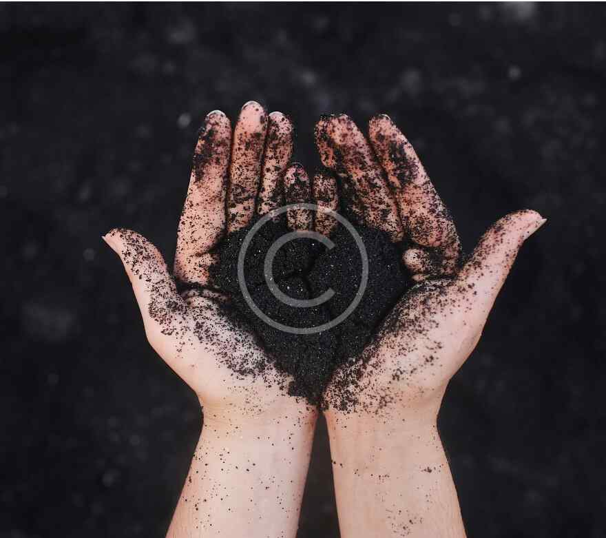 Eco-friendly tips for daily green living